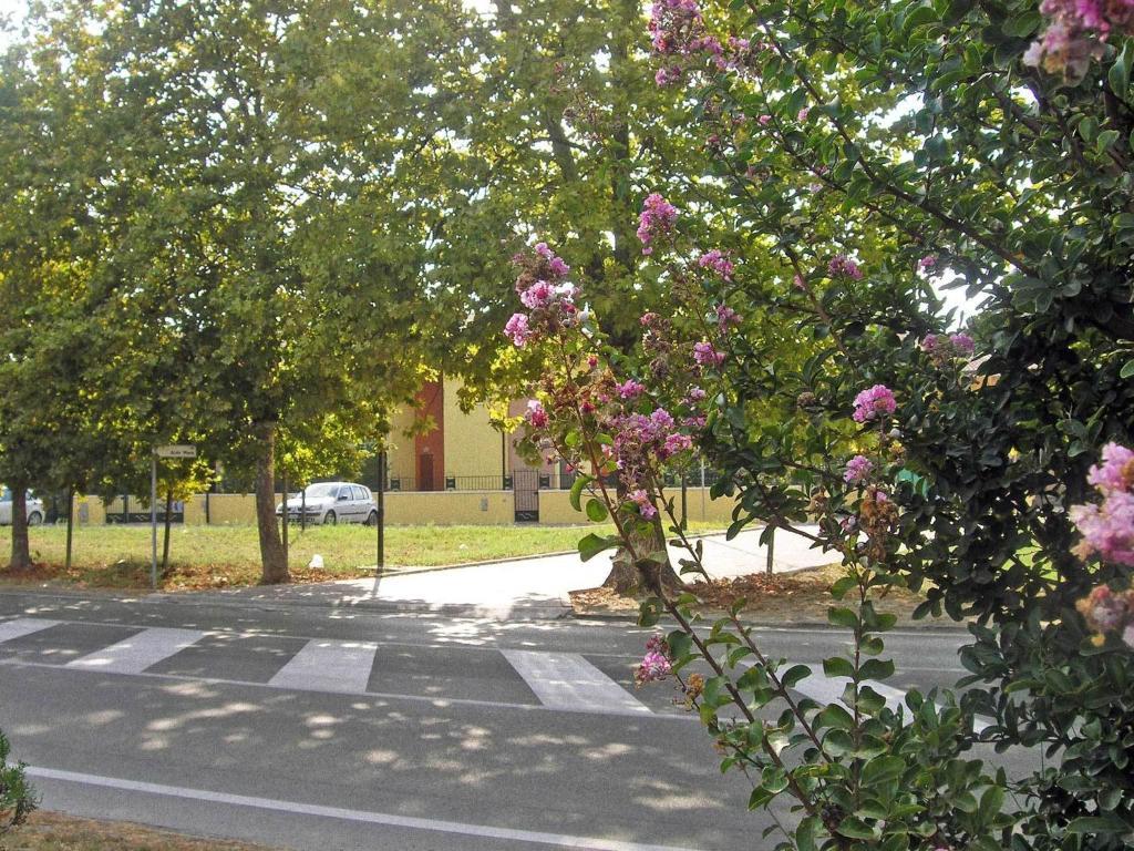 Residence Mediterraneo Lido delle Nazioni Ruang foto